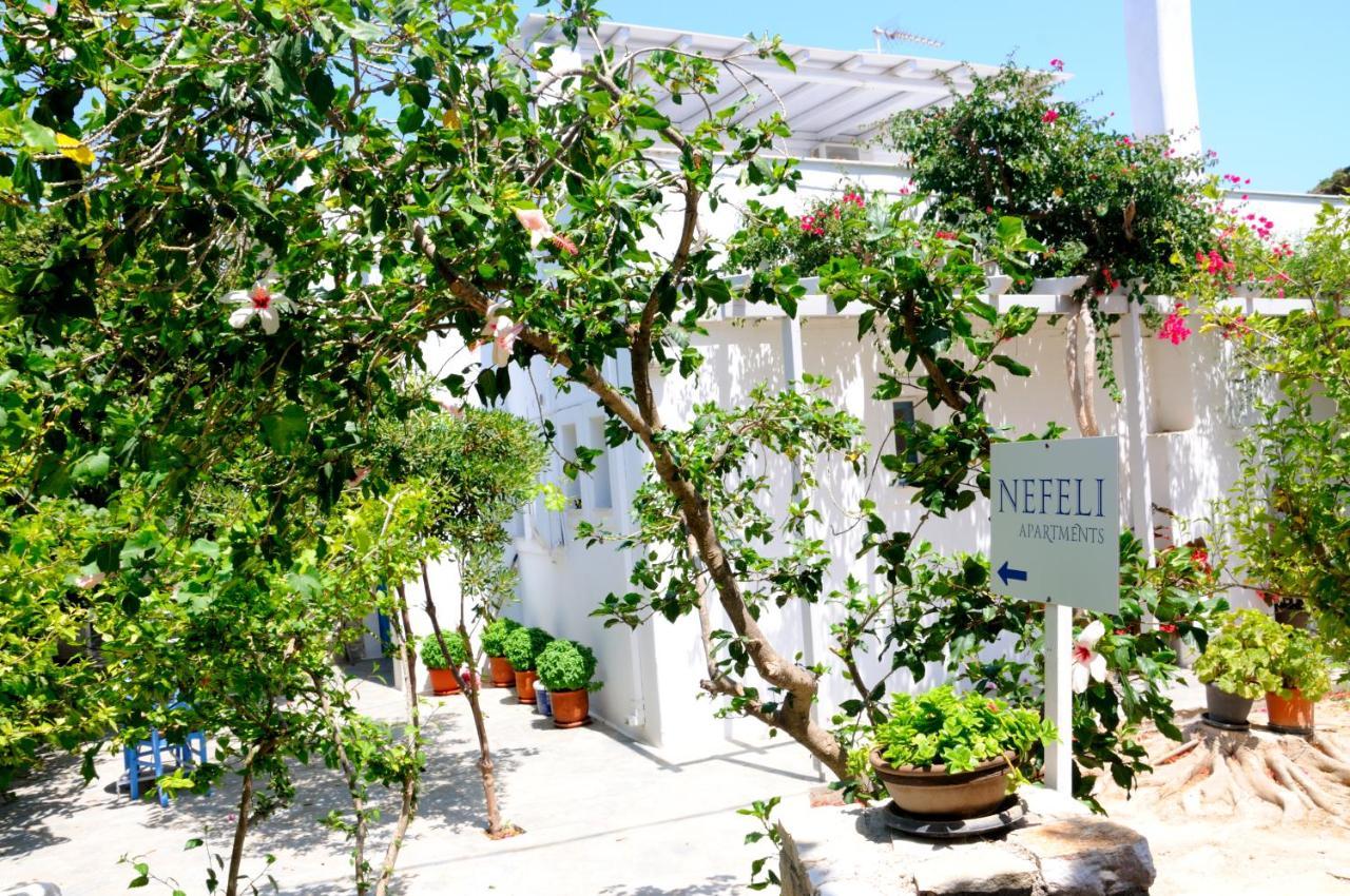 Nefeli Apartment Drios Exterior foto